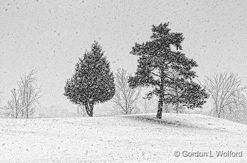 First Day Of Spring_07414.jpg - Photographed along the Rideau Canal Waterway at Smiths Falls, Ontario, Canada.